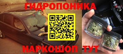 МДПВ Будённовск